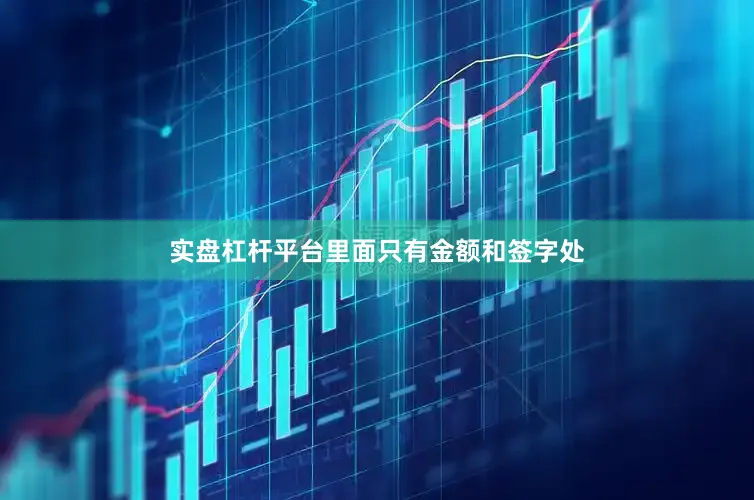 实盘杠杆平台里面只有金额和签字处