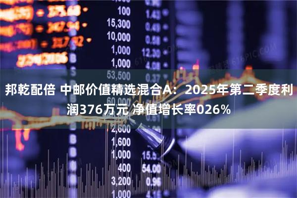 邦乾配倍 中邮价值精选混合A:2025年第二季度利润376万元 净值增长率026%