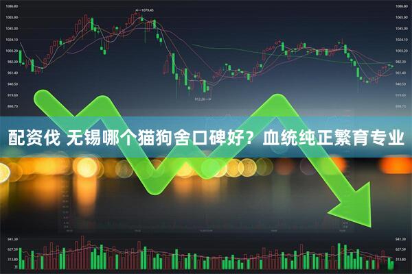 配资伐 无锡哪个猫狗舍口碑好?血统纯正繁育专业