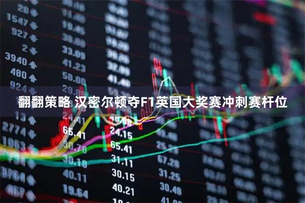 翻翻策略 汉密尔顿夺F1英国大奖赛冲刺赛杆位